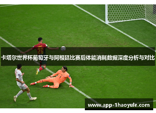卡塔尔世界杯葡萄牙与阿根廷比赛后体能消耗数据深度分析与对比 卡塔尔世界杯葡萄牙与阿根廷比赛后体能消耗数据深度分析与对比