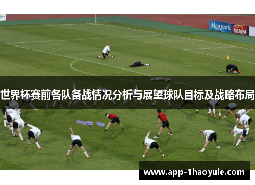 世界杯赛前各队备战情况分析与展望球队目标及战略布局 世界杯赛前各队备战情况分析与展望球队目标及战略布局