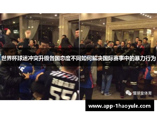 世界杯球迷冲突升级各国态度不同如何解决国际赛事中的暴力行为