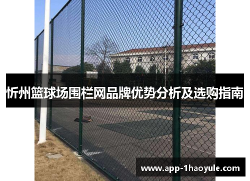 忻州篮球场围栏网品牌优势分析及选购指南 忻州篮球场围栏网品牌优势分析及选购指南
