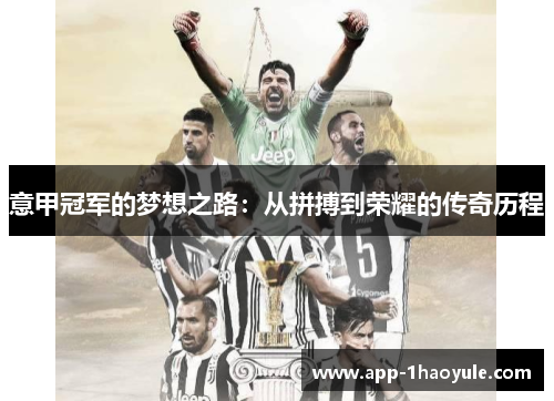 意甲冠军的梦想之路：从拼搏到荣耀的传奇历程