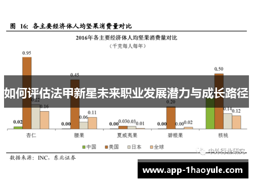 如何评估法甲新星未来职业发展潜力与成长路径