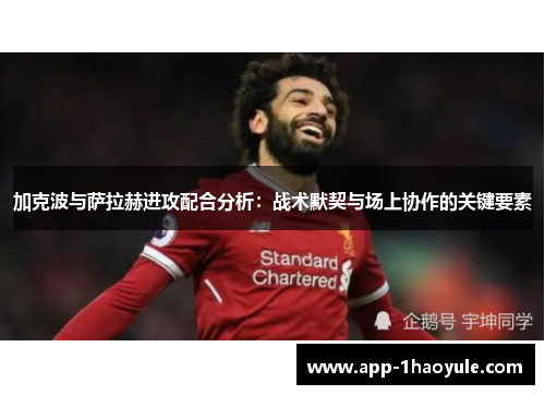 加克波与萨拉赫进攻配合分析：战术默契与场上协作的关键要素