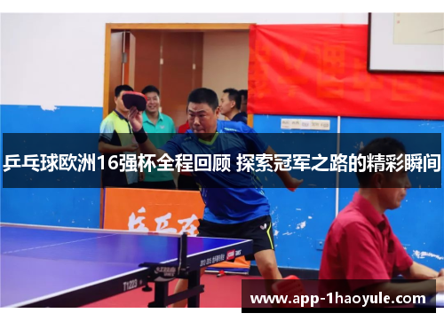 乒乓球欧洲16强杯全程回顾 探索冠军之路的精彩瞬间