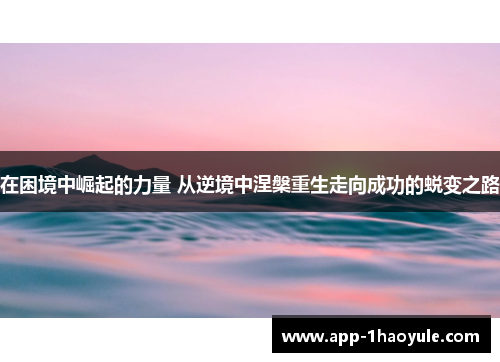 在困境中崛起的力量 从逆境中涅槃重生走向成功的蜕变之路