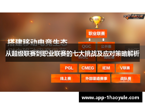 从超级联赛到职业联赛的七大挑战及应对策略解析