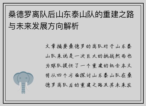 桑德罗离队后山东泰山队的重建之路与未来发展方向解析 桑德罗离队后山东泰山队的重建之路与未来发展方向解析