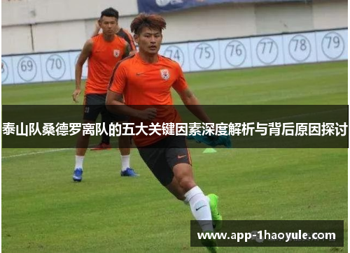 泰山队桑德罗离队的五大关键因素深度解析与背后原因探讨