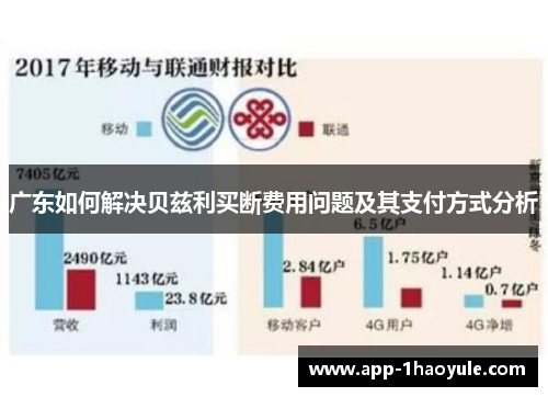 广东如何解决贝兹利买断费用问题及其支付方式分析