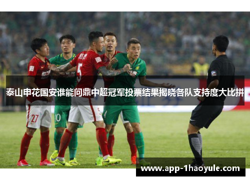 泰山申花国安谁能问鼎中超冠军投票结果揭晓各队支持度大比拼