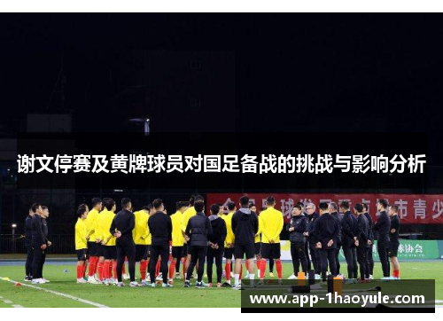 谢文停赛及黄牌球员对国足备战的挑战与影响分析