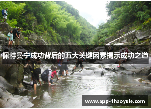 佩特曼宁成功背后的五大关键因素揭示成功之道 佩特曼宁成功背后的五大关键因素揭示成功之道