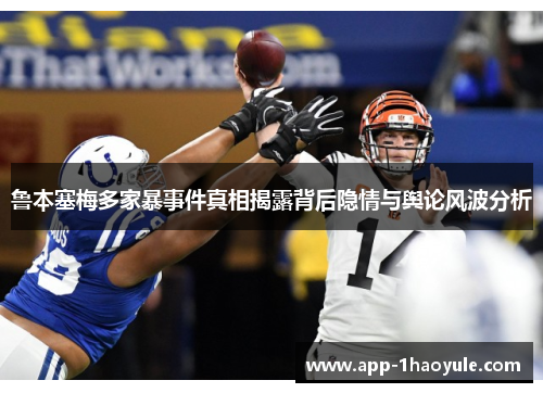 鲁本塞梅多家暴事件真相揭露背后隐情与舆论风波分析