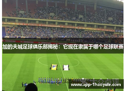 加的夫城足球俱乐部揭秘：它现在隶属于哪个足球联赛